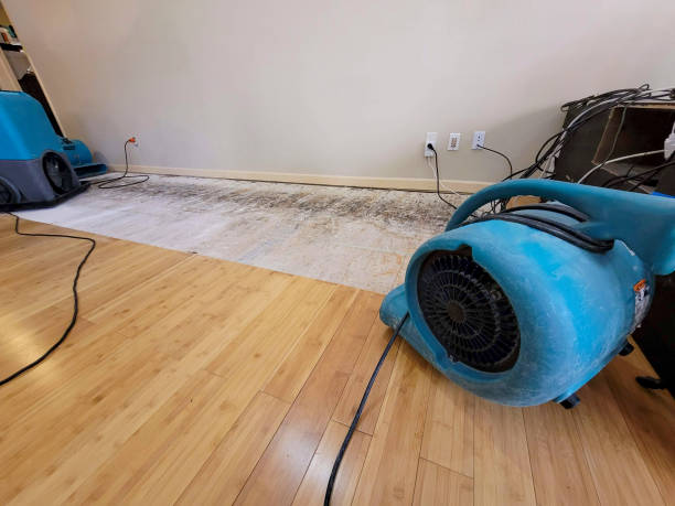 Professional Structural Drying technician working in Polo, MO